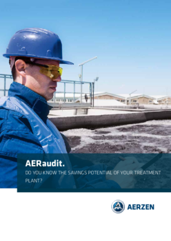 AERaudit