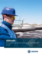Flyer AERaudit