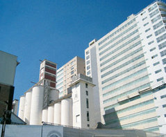 AERZEN units for mexican flour manufacturer